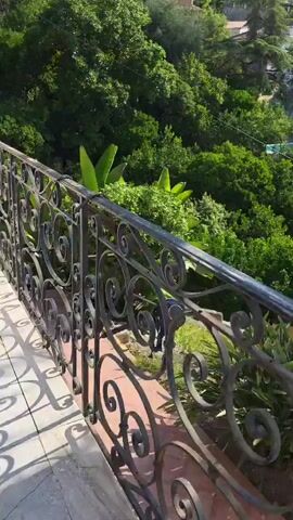 A panoramic video shows a lush green hillside covered with trees and vegetation. In the foreground, a dark metal railing is visible. The camera pans across the scene, revealing a palm tree with developing fruit, an olive tree, and various other leafy plants. In the distance, buildings and houses are nestled into the hillside. The video ends with a view of the ocean under a clear blue sky, with more palm trees and vegetation dotting the landscape.