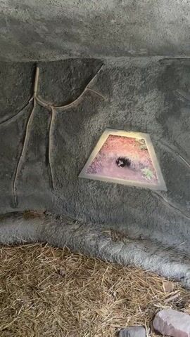 The video shows a blurry, dimly lit interior space. The walls appear to be concrete, with some rough texture and possibly some decorations or structures attached. There is straw or hay covering the ground. In one section of the wall, there is a lighted opening or a display, possibly a window into another area or a picture illuminated from behind. The overall impression is of a contained animal enclosure or a similar man-made habitat.