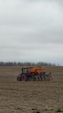 The video shows a red and orange tractor in a plowed field on an overcast day.  The tractor is pulling a large piece of farming equipment with multiple rows of blades. In the distance is a line of trees on the horizon under a cloudy sky.
