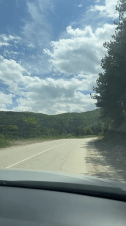 Vehicle travels rural road through Bulgarian woodland under clear skies
