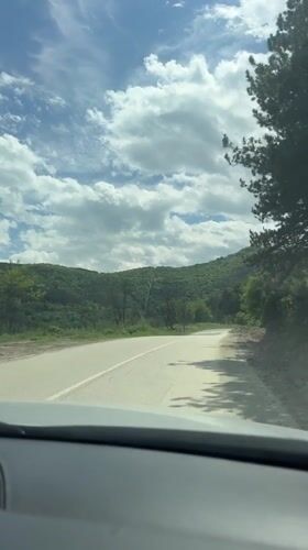 Vehicle travels rural road through Bulgarian woodland under clear skies