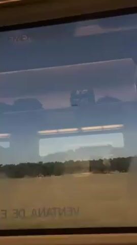 A view from a train window shows a flat, grassy landscape with scattered trees. The window has writing on it in Spanish, and there is a luggage rack above the window with items stored on it. The train is moving, as the landscape passes by the window.