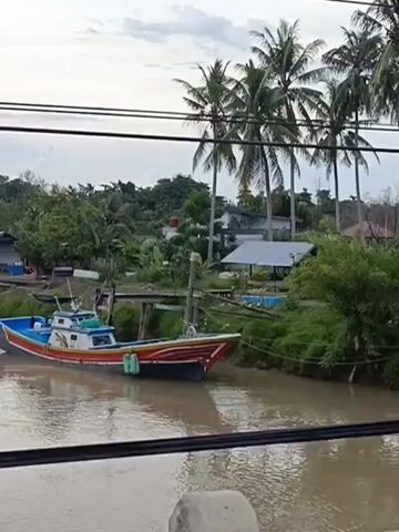 The video shows a boat docked on a muddy river. Palm trees and various buildings are visible on the riverbank. The sky is overcast. The camera appears to be looking through some wires that cross the foreground. The boat is colorful with blue, red, and white sections. There are no people visible on the boat or in the immediate vicinity. The water in the river is murky. The overall scene suggests a rural or coastal environment.