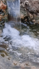 Afternoon at a thermal water complex in Berehove, Ukraine