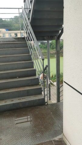 The video begins with a close-up view of a metal staircase with a railing, appearing to be outdoors. The stairs are wet, suggesting it might be raining or has recently rained. In the background, a building and some greenery are visible. As the video progresses, the camera pans across a rural landscape. Fields with crops, some under protective coverings, are seen. There are also some small buildings and structures scattered throughout the area. Further in the distance, rolling hills covered with trees create a backdrop. The sky is overcast, contributing to a somewhat muted atmosphere. The video appears to capture a view from a slightly elevated position, looking out over the countryside.