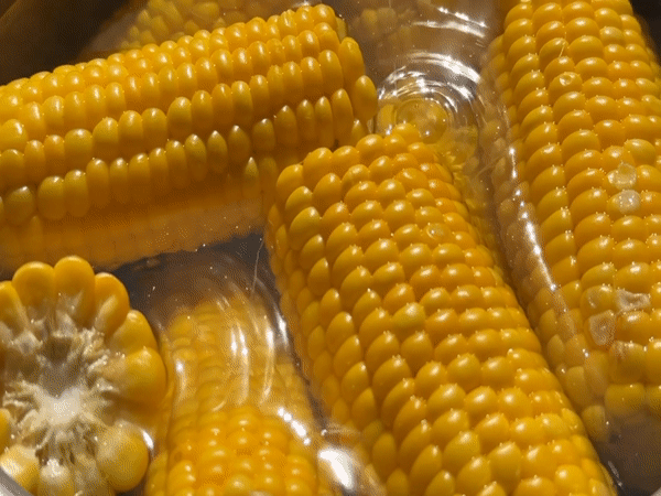 Corn boiling, drinks in hand — a summer cookout in Germany