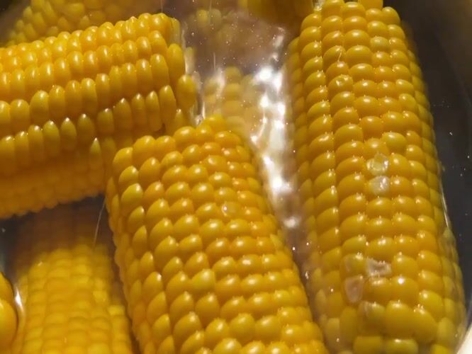 Corn boiling, drinks in hand — a summer cookout in Germany