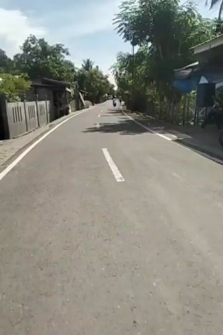 The video shows a POV shot from a moving vehicle, possibly a bicycle or motorcycle, on a paved road. The road has a white dashed line down the center and a solid white line on the left edge. The road is lined with trees and vegetation on both sides. On the left side of the road, there are some buildings and a fence. On the right side, there are also trees and some structures, possibly houses. There are a few motorcycles with riders on the road, further ahead. The weather appears to be sunny with some shadows cast by the trees. The overall environment suggests a rural or suburban setting in a tropical or sub-tropical region.