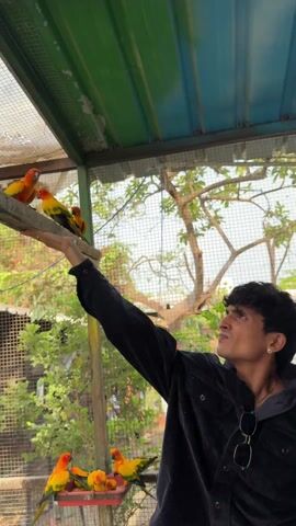 The video shows a man with dark curly hair and a black corduroy jacket holding his arm up inside a bird enclosure. Several small yellow and orange birds are perched on a branch. Another view shows an older man holding a baby and an orange and yellow parrot in his open hand. Behind him, a blue and yellow macaw is perched on a branch. The enclosure has a peaked roof and is open to the outdoor environment, which includes greenery and pink flowers.
