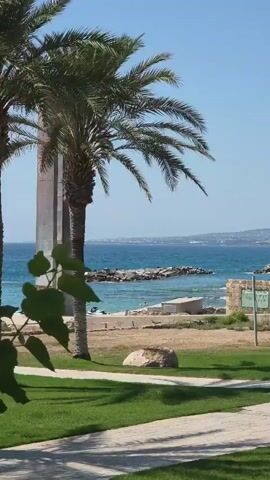 Two palm trees are in the foreground, one on the left and one in the center. A walkway with a diamond pattern is visible in the lower part of the frame, extending from the bottom left to the bottom right. Beyond the walkway is a patch of green grass. In the middle ground, there is a sandy area with a large, light-colored rock. Further back, there is a stone wall and some buildings. The background features the ocean, with waves breaking on a rocky shore. A boat is visible in the water. The sky is clear and blue.