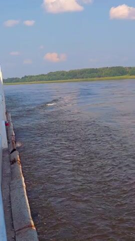 The video shows a wide river with a green forest lining the opposite bank. The sky is blue with scattered white clouds. The camera appears to be on a boat, looking out at the water. There are some small waves on the surface of the water, and a wake is visible behind the boat, indicating movement. The lighting suggests it is daytime, likely late afternoon or early evening due to the soft quality of the light. There are no people visible in the frame.