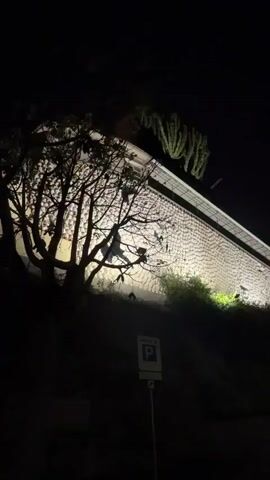 The video shows a building at night. The building is covered in what appear to be plaster or concrete faces. A tree and shrubbery partially obscure the view of the building in the foreground. There is a parking sign visible in the bottom left corner of the frame. The camera pans up and slightly to the right, focusing on the wall of faces. The lighting is dim, with artificial lighting illuminating the building.