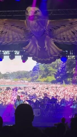 A concert is taking place with a live band performing on stage. In the foreground, the backs of audience members are visible. Above the stage, a large inflatable eagle with spread wings is suspended. Behind the band, a large screen displays a vibrant, colorful backdrop that appears to be a forest scene with a crowd of people in the distance. The stage is lit with purple and blue lights, and spotlights illuminate the band members. The band consists of at least three musicians: one guitarist on the left, a drummer in the center, and another guitarist on the right. The guitarist on the right is wearing a black t-shirt with a white symbol on it. The atmosphere seems energetic and engaging.