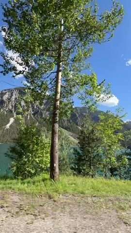 This is a vertical video of a scenic landscape. The camera is moving, providing a view of a bright blue sky with scattered white clouds. Below the sky, a large, turquoise lake is visible. The lake is surrounded by steep, tree-covered mountains. In the foreground, there are various trees and green foliage, with glimpses of a gravelly path. The sun is shining, casting light and shadows on the scene. There are no people visible. A dark object, possibly a bird, is briefly visible in the sky at the beginning of the video. The overall impression is of a natural, outdoor environment.