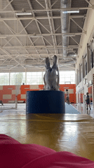 Children practice backflips and gymnastics in Krasnoyarsk gymnasium
