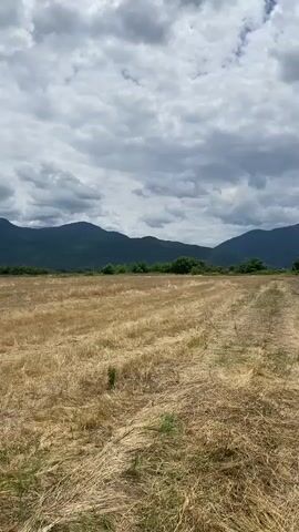 A drone shot slowly pans across a harvested field of dry, golden grass. In the distance, a line of dark green trees forms a border between the field and a range of hazy, purple mountains. The sky above is filled with dramatic, heavy gray clouds.