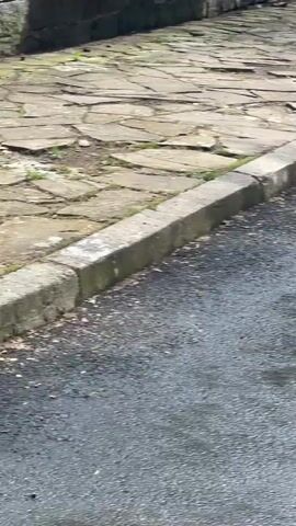 The video begins with a ground-level view of an asphalt road with a grey stone curb separating it from a stone-paved pathway. The camera then pans left, revealing a building constructed of large, irregularly shaped grey stones, topped with a red tiled roof partially covered in moss. A wooden beam leans against the stone wall. The camera continues panning left, showing more of the building, including a chimney on the roof and an open doorway in the stone wall, partially obscured by leaning wooden planks. Another wooden beam is visible leaning against the building's facade. The camera then pans right, moving back across the building and the stone-paved pathway to the asphalt road. In the background, a white circular sign on a pole and green trees are visible. No people or animals are present in the video.