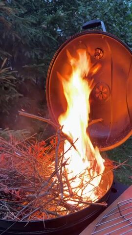 A close-up shot shows a barbecue grill with the lid open, revealing a bright orange fire burning amongst a pile of dry branches and leaves. The flames are tall and dynamic, casting a warm glow on the interior of the grill lid and the surrounding greenery. The environment appears to be outdoors, with dark evergreen trees visible in the background, suggesting a natural or backyard setting. The focus is on the intensity of the fire and the burning materials.