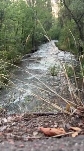 The video displays a scenic view of a flowing river through a lush forest. The river, with its white-capped rapids, is the central subject, winding its way through the densely green trees. In the foreground, dried grass and fallen leaves rest on a stony ground, adding a touch of natural texture. The scene appears to be set during the late afternoon or early evening, as indicated by the soft, diffused sunlight filtering through the trees. The overall atmosphere is serene and tranquil, evoking a sense of peace and connection with nature. The location is identified as Qargaly, Kazakhstan. No people or visible text are present in the video.