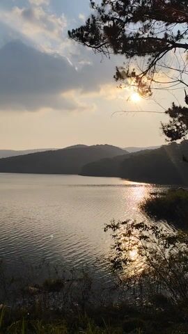 The video shows a scenic view of a lake surrounded by mountains. The sun shines through the clouds, creating a golden reflection on the water's surface. The foreground features some low-lying vegetation and a tree branch partially framing the top right corner of the scene. The lake extends into the distance, with rolling hills visible on the horizon. The sky is partially cloudy, contributing to the overall tranquil and picturesque setting.