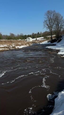 The video shows a river flowing rapidly under a clear blue sky. Patches of snow line the banks, suggesting it's early spring. The water is murky brown, and there's a significant amount of white foam visible on the surface. Trees, bare of leaves, are visible along the banks. On one side, there's a small white structure in the distance. The camera pans slightly to the right, revealing a road or path sloping down to the riverbank. The opposite bank shows a small island or patch of land in the middle of the river.