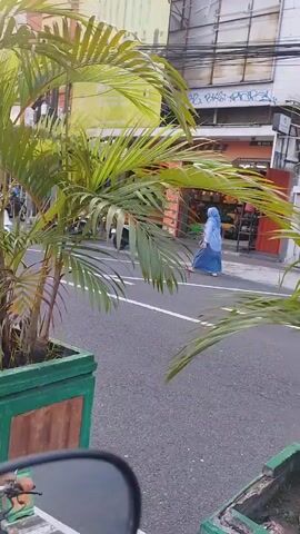 This video appears to be captured from a vehicle, likely a motorcycle due to the perspective and the presence of a side mirror in the foreground. The footage shows a street scene with a large potted palm tree in the foreground, its fronds obscuring some of the view. Behind the palm tree, a street is visible with light traffic. A person wearing a blue hijab walks along the sidewalk on the opposite side of the street. Several cars and motorcycles are seen on the road, some in motion. Buildings line the street, with shopfronts visible in the background. The overall impression is of a busy urban environment, possibly in a tropical or subtropical location, given the presence of the palm tree. The lighting suggests it is daytime, possibly late afternoon or early morning due to the angle of the sun.