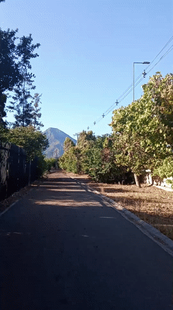 Evening walk captured near Vitacura nursery on sunny day