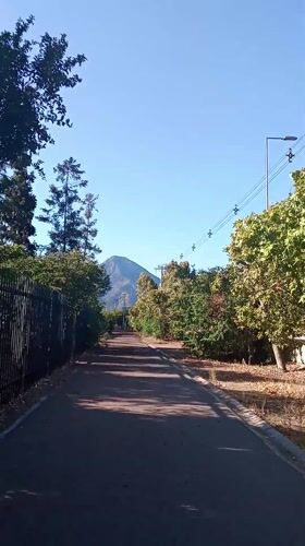 Evening walk captured near Vitacura nursery on sunny day