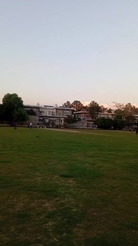 The video captures a cricket match taking place in a park setting. A green lawn is the dominant feature of the foreground, while in the background, houses are visible along the edge of the park. Several people, some dressed in casual attire and others in sports clothing, are scattered across the park; they appear to be players involved in the game. A player in a blue and black cricket uniform, with the number 5 on the back, is walking on the grass. The sky above the park is pale, indicating either early morning or late afternoon light.