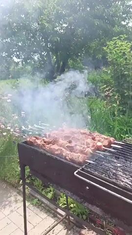 A close-up shot shows meat on skewers being grilled over charcoal, with smoke rising. The grill is outdoors, with a backdrop of lush green trees and plants. A person's hand, holding a smartphone, is visible in the left side of the frame, seemingly recording the scene. The meat appears to be seasoned and is arranged in rows on the metal skewers. The grill itself is a metal barbecue with a gridded cooking surface. The overall atmosphere suggests a casual outdoor cooking event.