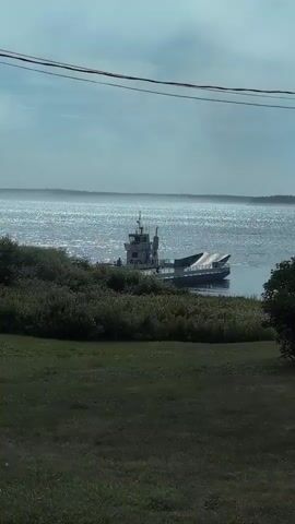 A ferryboat is anchored in the water. The boat is white with a grey hull. It is positioned near a green, overgrown shoreline. In the foreground, there is a grassy area. Overhead, power lines stretch across the sky. The sky is cloudy and the water is sparkling, suggesting sunlight.