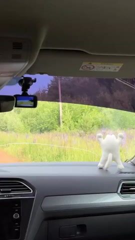 The video captures the interior of a car from the perspective of a passenger or driver, looking forward through the windshield. Outside, a dirt road winds through a field of green grass and purple wildflowers, bordered by a line of trees and a white fence. A dashcam is mounted on the windshield near the rearview mirror. A small, white, stuffed toy resembling a cartoon character with raised arms sits on the dashboard. A Volkswagen logo is visible on the rearview mirror. The car's infotainment screen displays a clock and the date 21.06.2026. The interior of the car appears to be a modern SUV. The sky outside is a bright blue with some hazy clouds. The sun is shining.