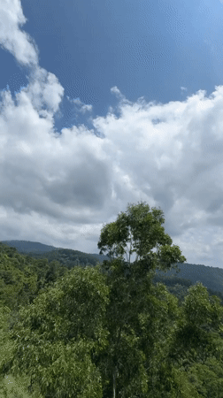 Morning landscape footage captured in Sri Lankan Midlands region