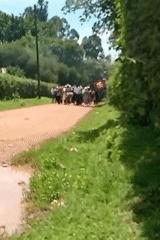 Flag-bearing procession moves through rural Kenyan villages