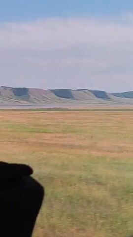 The video shows a wide, grassy plain with a long, flat-topped hill formation in the distance. The sky is a pale blue with scattered clouds. The sun is likely high in the sky, suggesting it is daytime. The grass in the foreground is a mix of green and golden-brown, indicating a dry or late summer season. The hills in the background are a muted green and brown, with darker green vegetation on their upper surfaces. There is a body of water visible between the plain and the hills.

A dark object, possibly a hand or part of a vehicle, is visible in the lower left corner of the frame, suggesting the footage is being filmed from a moving vehicle. The overall impression is one of a vast, open landscape, possibly in a rural or undeveloped area. The scene is peaceful and serene, with a sense of stillness despite the implied movement of the camera. There are no people or specific objects clearly visible in the landscape itself. The location is identified as Novolenino, Russia.