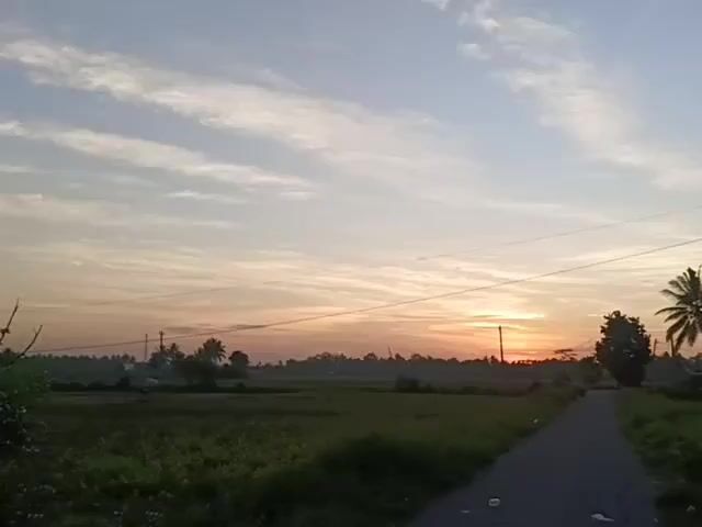 The video depicts a rural landscape during sunrise. A narrow paved road stretches into the distance, flanked by green fields. The sky is a mix of light blue and orange hues, with long streaks of clouds. Silhouetted trees and foliage line the horizon. Power lines run across the sky. The scene is tranquil, with no discernible people or movement. The focus is on the natural beauty of the sunrise and the surrounding environment.