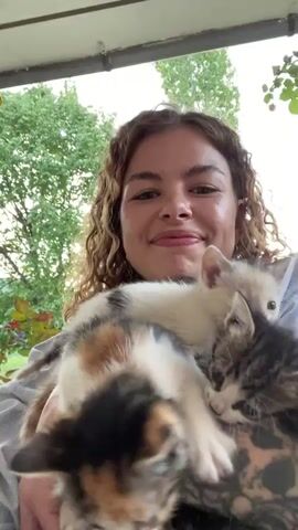 A young woman with long, curly, light brown hair and green eyes is seen smiling directly at the camera. She is wearing a light blue collared shirt and denim shorts, with a tattoo visible on her right arm. In her arms and lap, she is holding four small kittens.

The kittens vary in appearance: one is predominantly white with distinct black and orange patches, another is a grey and white tabby, a third has a dark calico or tortoiseshell pattern, and the fourth is also a grey and white tabby. The kittens are actively moving, exploring, sniffing, and interacting with each other, often climbing over one another. At one point, a kitten attempts to climb onto the woman's shoulder.

The scene appears to be set in an outdoor or semi-outdoor area, possibly a patio, with a tiled floor visible below and blurred green foliage in the background, suggesting trees or plants. The lighting indicates it is daytime. The woman appears joyful and affectionate towards the kittens, while the kittens seem curious and playful. The video is initially slightly shaky but then stabilizes, focusing on the woman and the kittens.