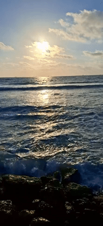 Golden hour coastlines and aquarium life from one afternoon