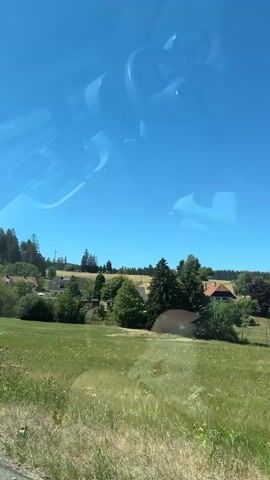 The video captures a view from inside a vehicle, looking out through the windshield. The reflection of a steering wheel and dashboard is visible on the glass. Outside, a sunny, clear blue sky dominates the upper portion of the frame. Below the sky, a rolling green landscape unfolds, characterized by grassy fields dotted with trees. In the mid-ground, several houses and buildings can be seen nestled amongst the greenery, suggesting a rural or semi-rural setting. A dense line of dark green coniferous trees forms a backdrop along the horizon. The camera appears to be moving, as the landscape slowly shifts and pans across the frame, indicating the vehicle is in motion. The overall impression is one of a pleasant journey through a picturesque countryside.