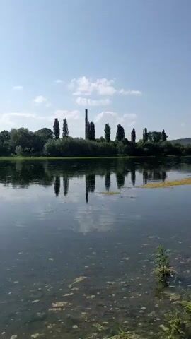 The video pans across a calm body of water with lush green vegetation growing along the bank. In the distance, a line of trees borders the water, and beyond them, a tall, slender smokestack rises against a clear blue sky dotted with a few wispy clouds. The water's surface reflects the sky and trees, creating a serene and tranquil atmosphere.
