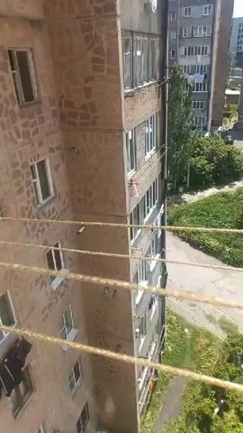 The video pans across a view from a high vantage point, looking down and out over a residential area. In the foreground, four parallel clotheslines run horizontally across the frame. They appear to be made of a braided, golden-colored material. To the left of the clotheslines is the side of a multi-story apartment building, constructed with rough, light brown brick. Several windows are visible on the building's facade. Below and extending to the right of the apartment building is a green, overgrown area with trees and shrubs. A paved road or pathway winds through this area, with a white car parked on the side. Further in the background, more apartment buildings and some smaller structures are visible, along with a distant landscape of rolling hills under a partly cloudy sky. The overall scene suggests an urban or suburban environment on a sunny day.