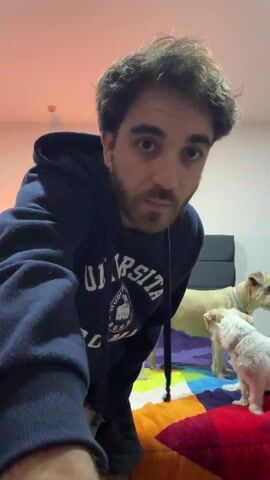 A man in a navy blue hoodie with “UNIVERSITA ROMA” printed on it is kneeling on a bed with a colorful patchwork quilt. He is interacting with two dogs on the bed, one larger and light tan and the other smaller and white. The man looks at the camera initially, then turns his attention to the dogs. The larger dog barks at him, and the man then sits down on the bed and pets the larger dog. The room is brightly lit, and a lamp can be seen in the background.