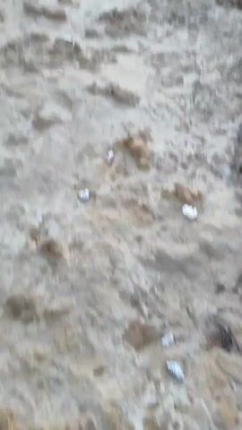 The video opens with a close-up, shaky shot of a rocky, sandy shore with some debris scattered on it. The camera then pans slowly upwards to reveal a serene seascape. The sky transitions from a soft, pale blue at the top to delicate hues of orange and pink near the horizon, indicating either sunrise or sunset. The sea is calm, with small waves gently lapping against the rocky coastline. In the distance, silhouetted mountains form a soft outline against the colorful sky. The overall impression is one of peaceful natural beauty at the edge of the day.