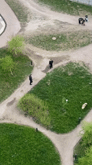 Evening park activity captured in Russian urban setting