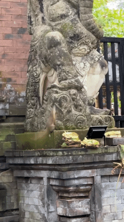 Quiet morning moments captured across Denpasar's temples and beaches