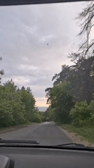 Dusk walk through Tolyatti's pine forests and reservoir beach