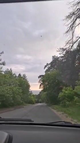 Dusk walk through Tolyatti's pine forests and reservoir beach