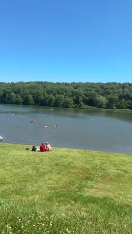 The video captures a sunny outdoor scene featuring a body of water, a grassy bank, and a tree-lined horizon. In the foreground, a vibrant green grassy area occupies the bottom third of the frame. Two individuals are seated on the grass to the left, facing the water, one wearing a red shirt and the other a light-colored top. In the midground, a dark-haired person wearing a dark swimsuit walks into the water from the right side of the grassy bank, raising their arms as they enter. Several other individuals are swimming or wading in the dark blue water, which is marked by a series of white and orange buoys or floats. Beyond the water, a dense green forest covers the distant banks. The sky above is clear and bright blue.