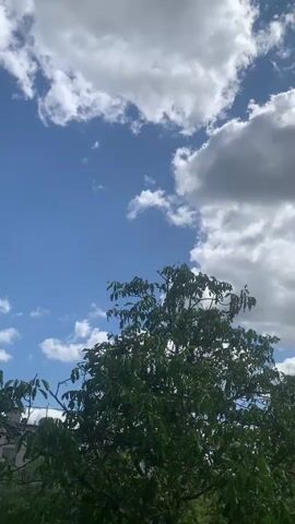 A shot of a green tree against a bright blue sky with white and gray clouds. The camera is stationary and angled upwards.