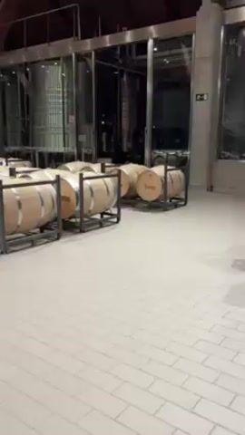 The video shows the interior of a large winery. Rows of wooden barrels are arranged on metal racks. In the foreground, a large red "Protos" sign is displayed. The building features a high, arched wooden ceiling and concrete columns. Large stainless steel tanks are visible in the background, behind glass partitions. The floor is tiled in a grid pattern.